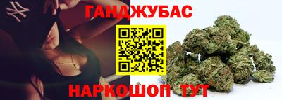 прущие грибы Будённовск