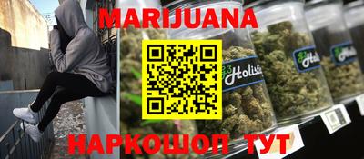 прущие грибы Будённовск
