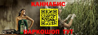 прущие грибы Будённовск