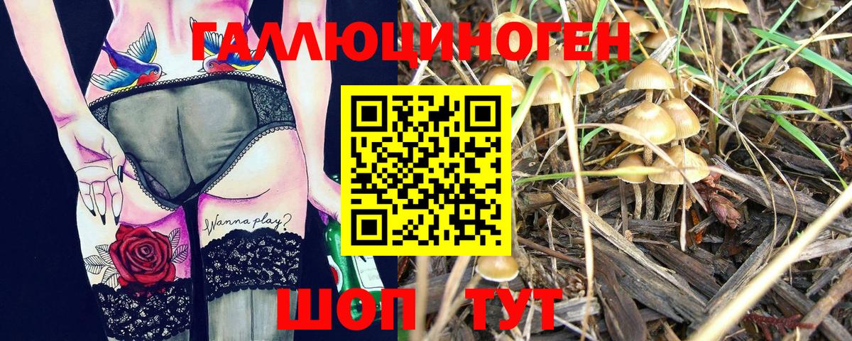 Галлюциногенные грибы Psilocybine cubensis  Вход с VPN  Фурманов 